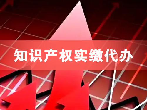 阿拉善知识产权实缴资本代办